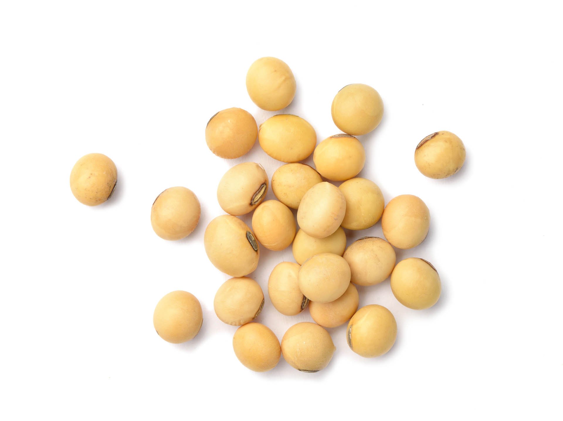 Soybeans-in-Shell