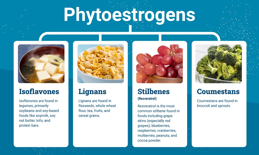 2024 SoyCOnnection Phtyoestrogen Graphic-02 2024 SoyCOnnection Phtyoestrogen Graphic-02