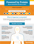 Benefits of Soy Protein Infographic 1st page