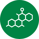 Does Soy Contain Estrogen_Estrogen Icon Estrogen Icon