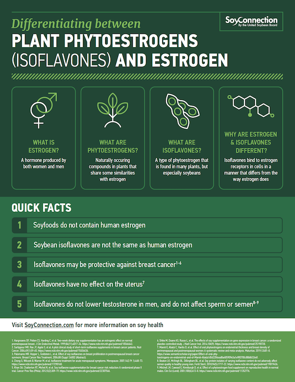 Estrogen Infographic