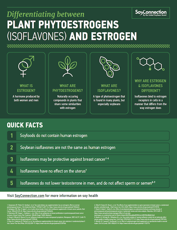 soy-nutrition-health-research-soy-connection