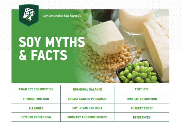 Soy and Phytoestrogens: Exploring the Benefits, Myths, and Facts