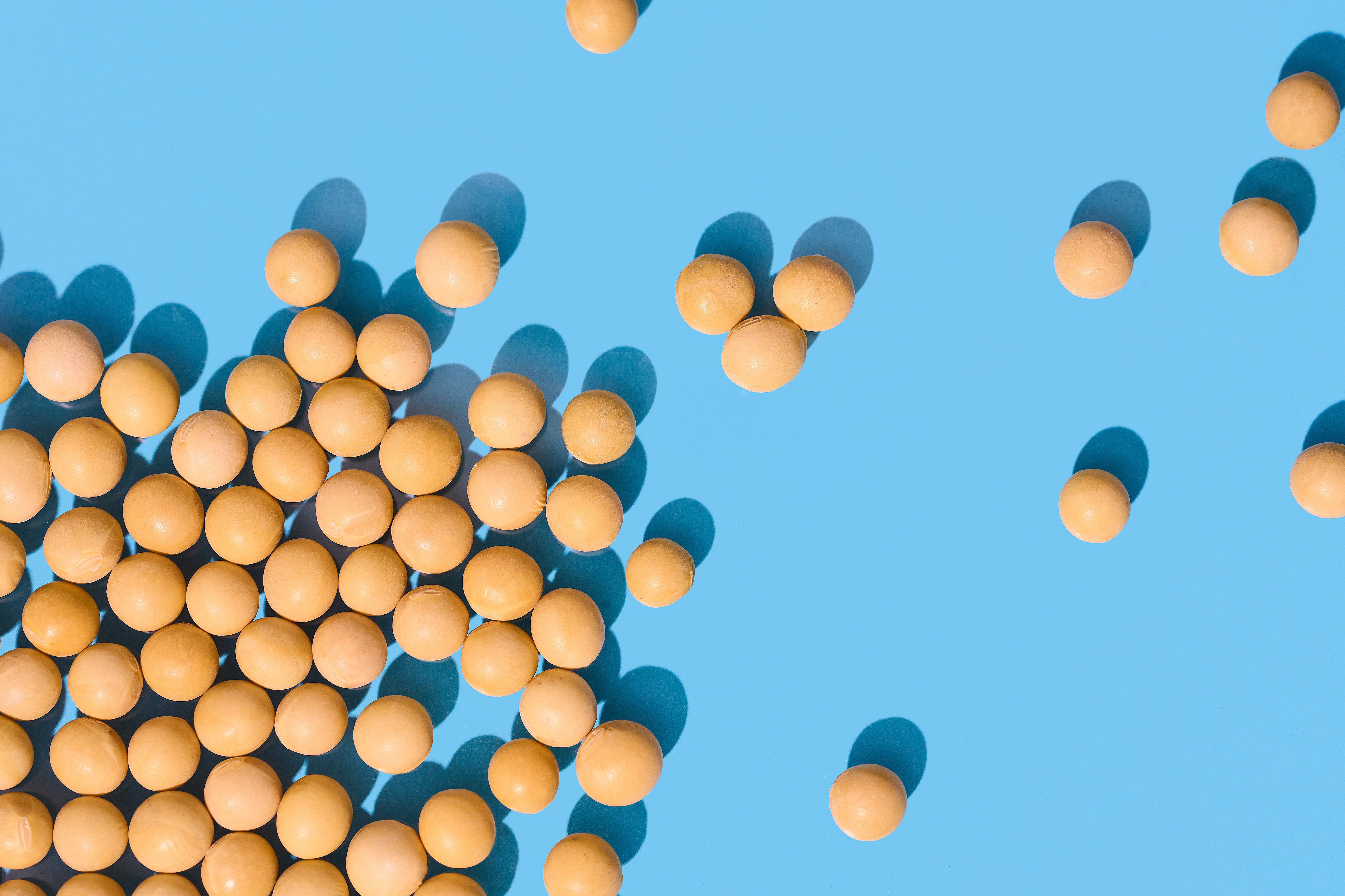 secondary_article_spring_2026