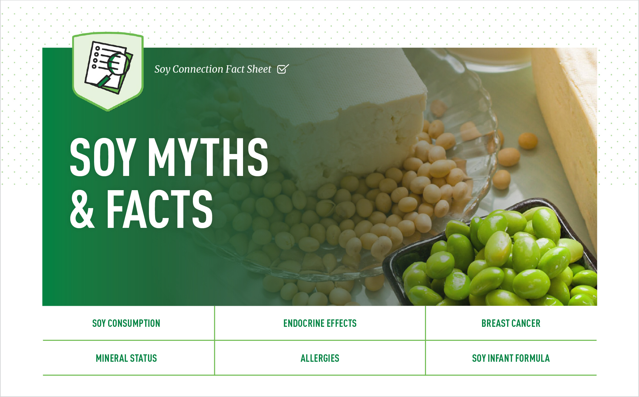 Soy-Myth-FS-Preview-Image-2x Soy-Myth-FS-Preview-Image-2x