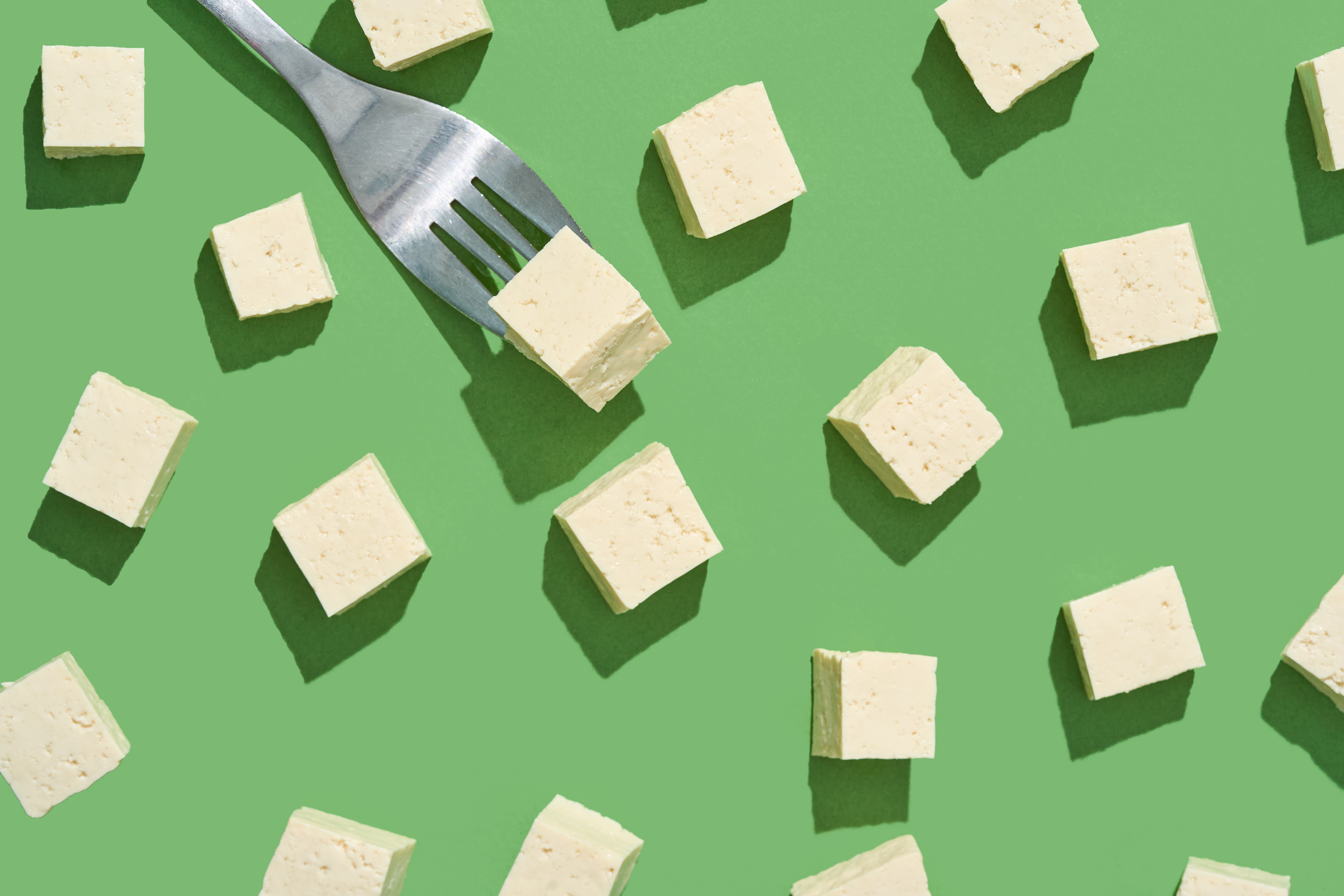 Tofu_Blocks 6