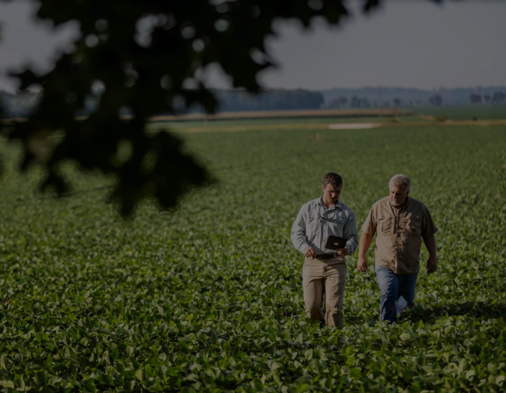 Farmers in Field Farmers in Field