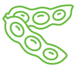 Soybean-Icon Soybean-Icon
