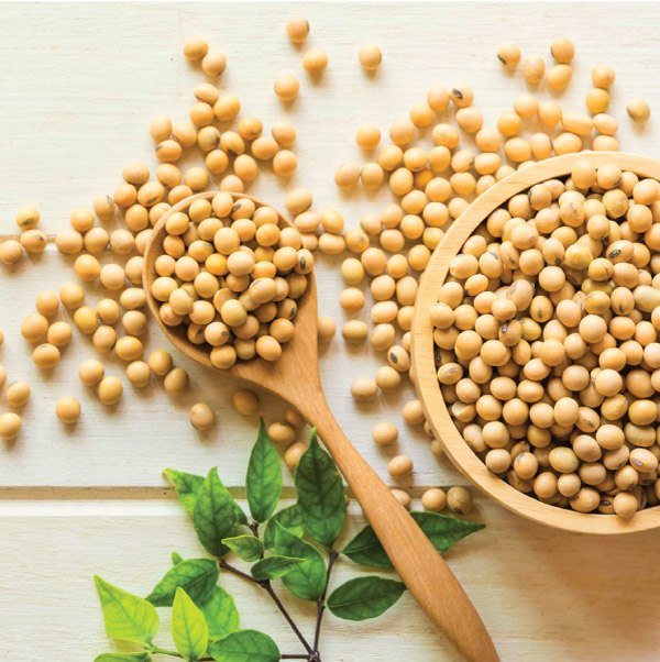 Raw Soybeans