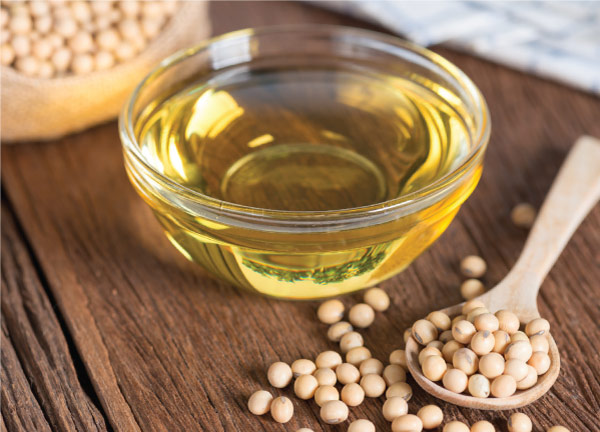 Soybean Oil in Cup