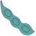 icon soybean soybean icon