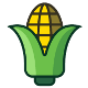 GMO_Corn