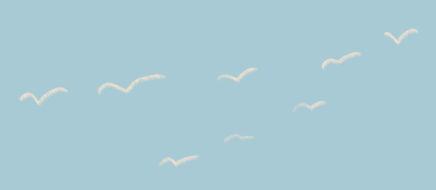 birds birds