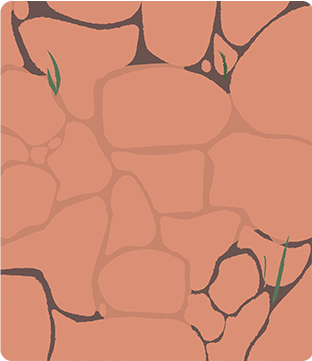Reduce Soil Erosion Reduce Soil Erosion