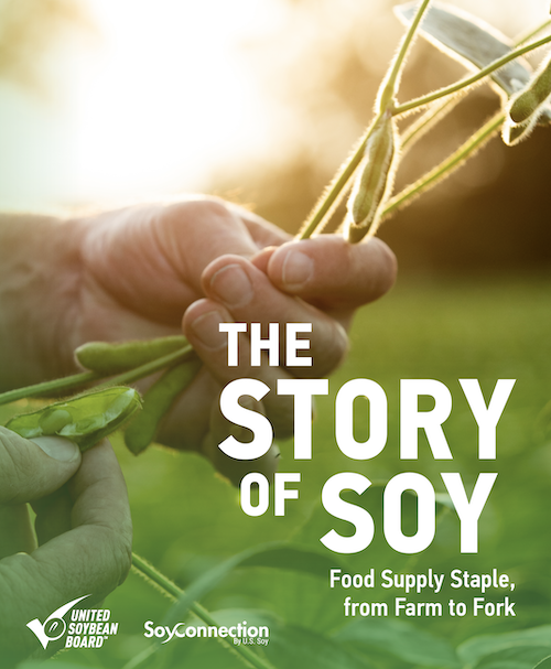 Story of Soy Booklet Cover