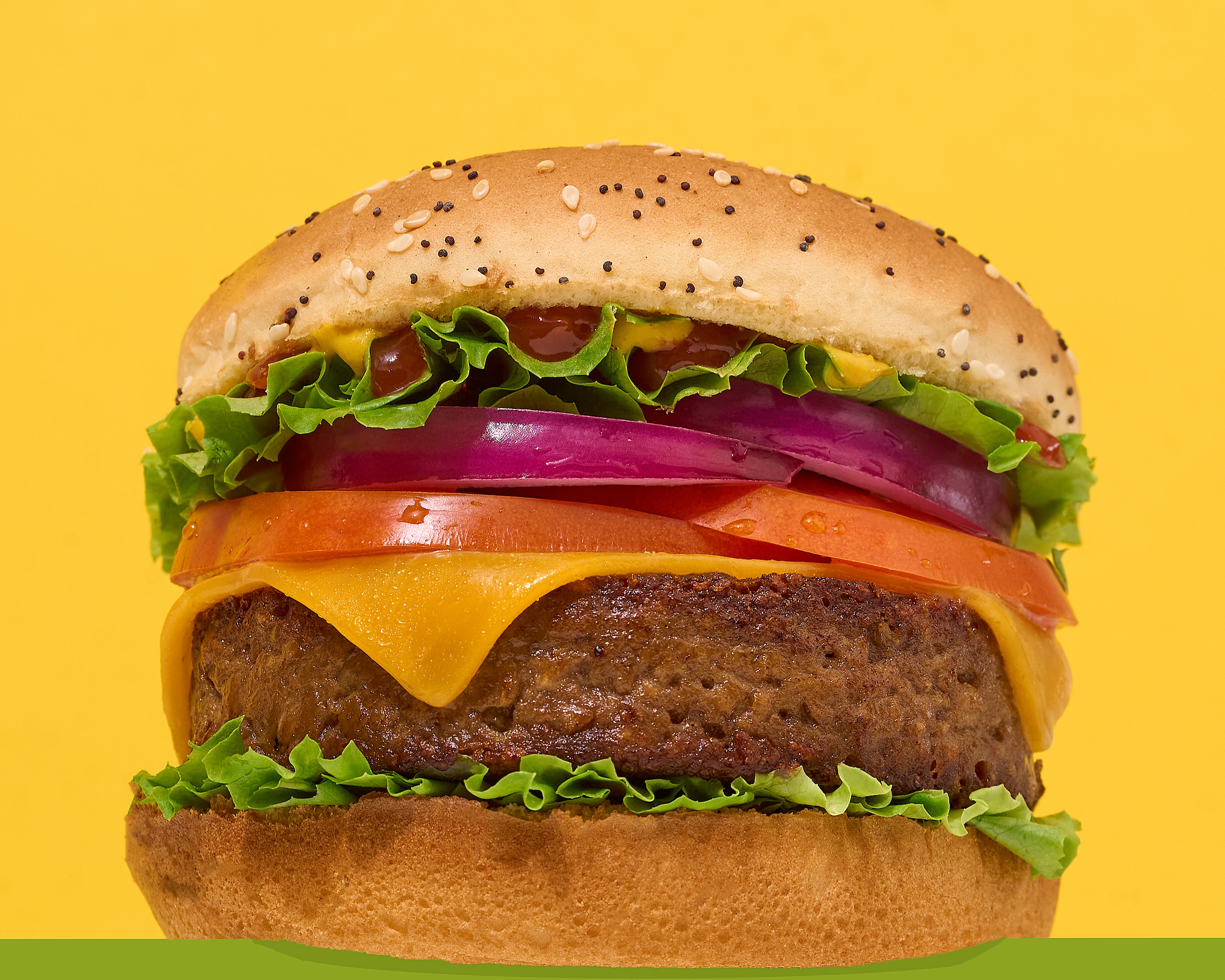 PlantBasedAlernative