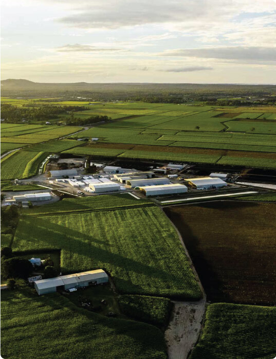 Farm Aerial View