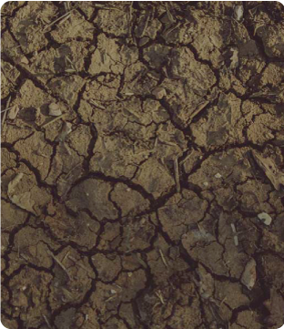 Reduce Soil Erosion Reduce Soil Erosion