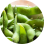 edamame edamame icon