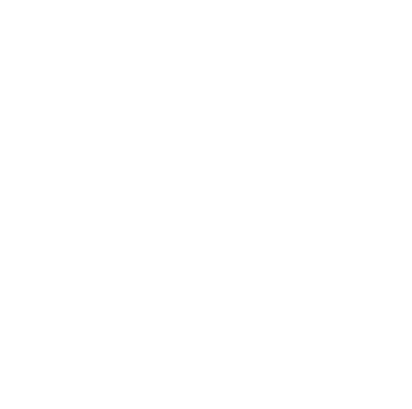 Accessories_Twitter-Icon