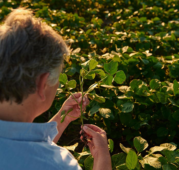 New-Farmer-Image_U.S.-Grown-Page_v3